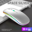 Mouse Wirelesss Bluetooth 2 In 1 Wireless Dual Mode Optical Mouse 2.4G Mouse Ergonomic Portable Rechargeable Mice For laptop