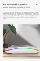 Mouse Wirelesss Bluetooth 2 In 1 Wireless Dual Mode Optical Mouse 2.4G Mouse Ergonomic Portable Rechargeable Mice For laptop